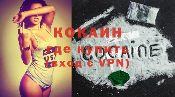 гашик Горняк