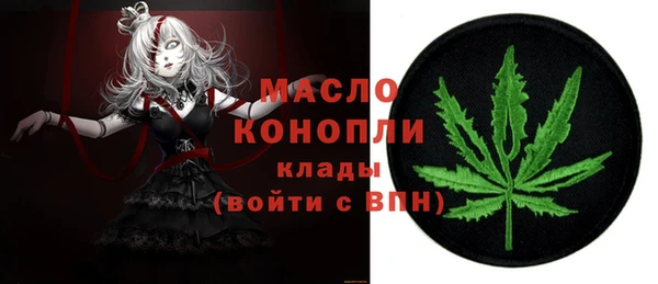 гашик Горняк
