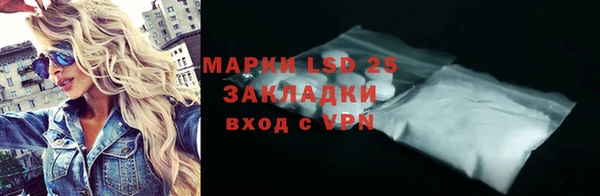 гашик Горняк