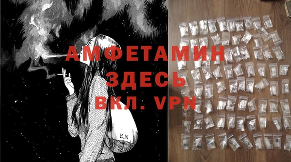 гашик Горняк