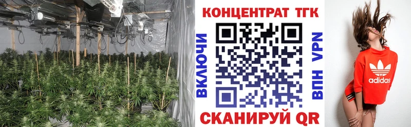 Купить закладки  Лесозаводск  ТГК Wax 